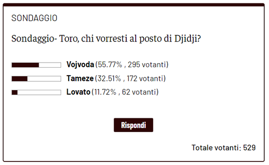 Torino, i lettori vorrebbero Vojvoda come vice Djidji- immagine 2
