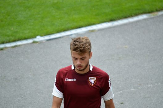 Adem Ljajic Adem Ljajic