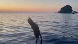 VIDEO / Sarah Felberbaum, tuffo al tramonto e sfida Daley: “Scansate”