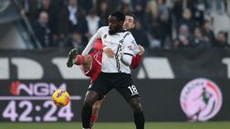 Spezia-Samp, Rossinelli: “Gli aquilotti dovranno puntare sull’agonismo nel derby”
