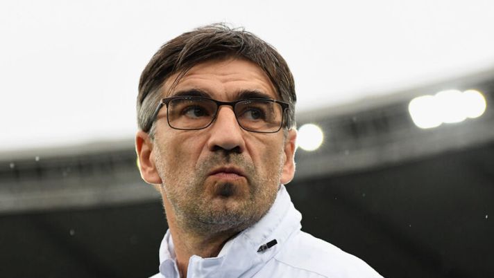 Juric: “Veloso si è fatto male. Salcedo? All’Inter ha fatto schifo, lo avrei menato” - immagine 1