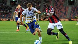 Nazionali Verona, i convocati