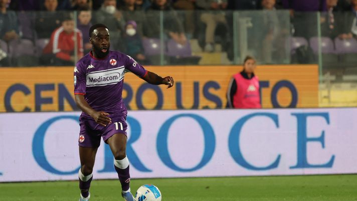 Cecchi: “Ho idea che Ikoné non abbia la disciplina tattica chiesta da Italiano” - immagine 1