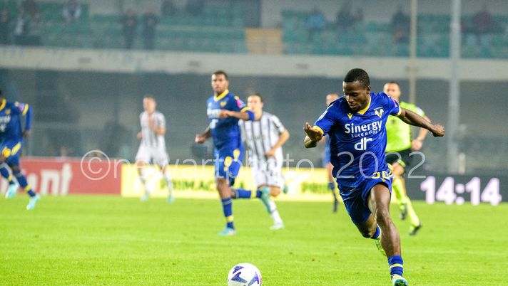 Mercato Verona, il Bologna pensa a Kallon  Mercato Verona, il Bologna pensa a Kallon - immagine 1