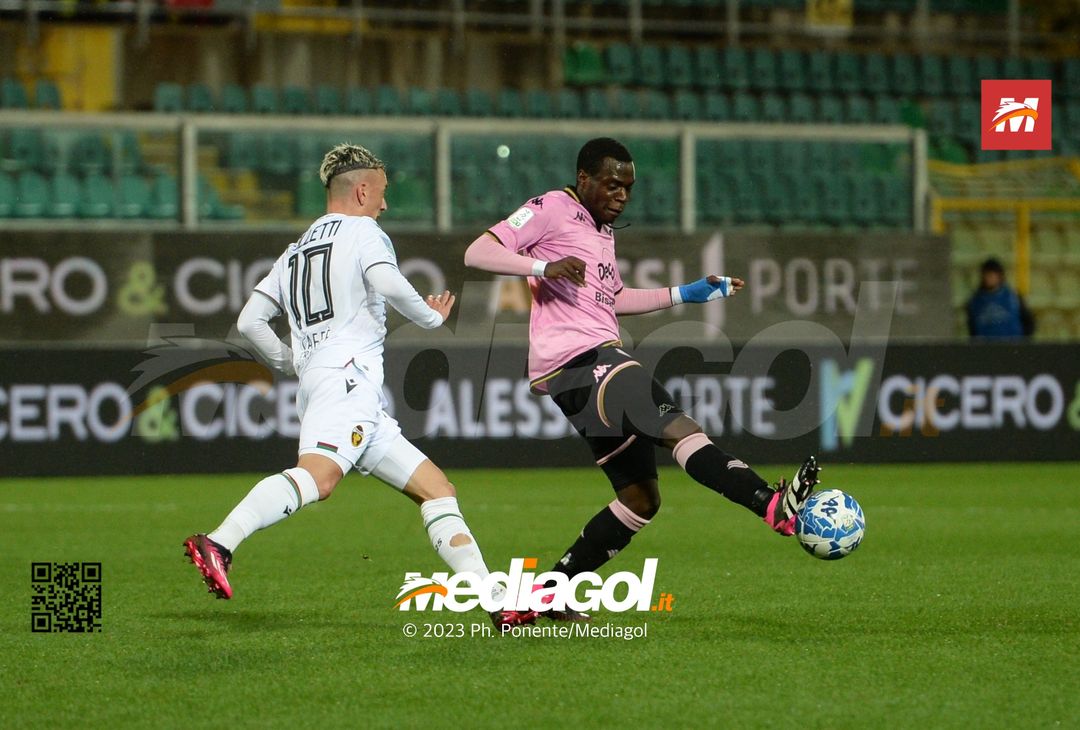 FOTO Palermo-Ternana 0-0, 27ª giornata di Serie B 2022-2023 (La Gallery) - immagine 42