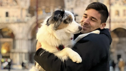 Dolore Simeone: avvelenato il suo cane Marvel