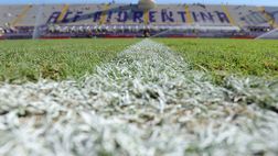 Restyling del Franchi: ecco dove potrebbe giocare la Fiorentina
