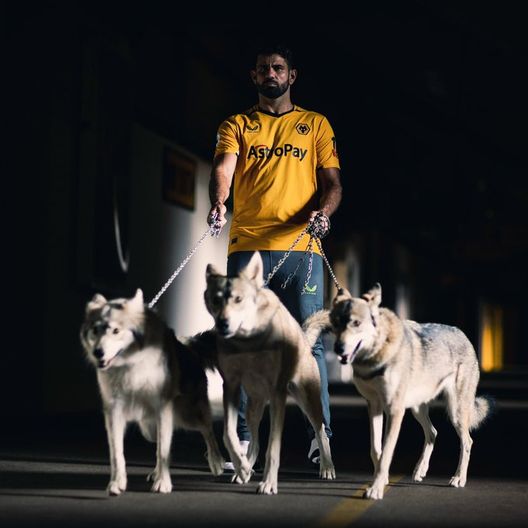 Diego Costa, la presentazione è “da brividi”: in mezzo ai lupi!- immagine 2