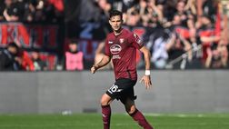 Volano stracci tra la Salernitana e Radovanovic: istanza per insubordinazione!