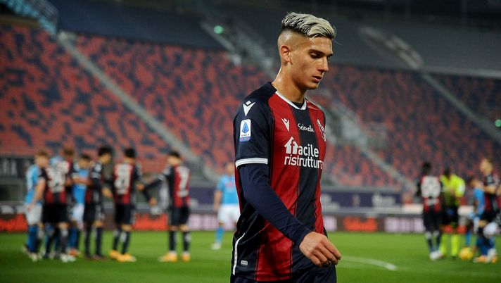 Nicolas Dominguez Bologna