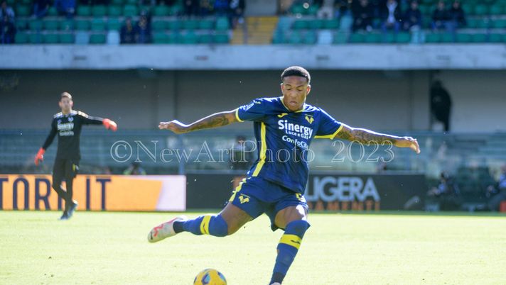 Genoa-Verona, la probabile formazione dell’Hellas  Genoa-Verona, la probabile formazione dell’Hellas - immagine 1