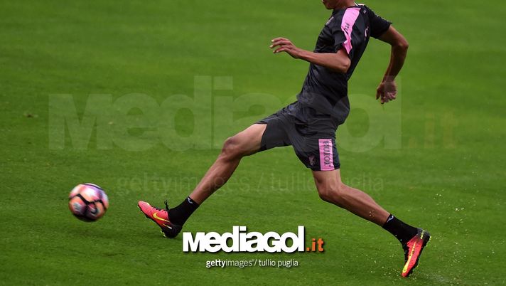 Palermo: si ferma ancora Norbert Balogh, botta in allenamento. Il report medico  Palermo: si ferma ancora Norbert Balogh, botta in allenamento. Il report medico