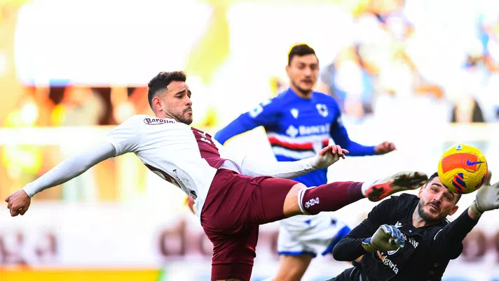 sampdoria-torino