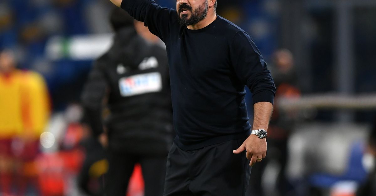 Cremonese, Pecchia lascia la panchina: Gattuso e Pirlo i nomi in pole per sostituirlo Cremonese, Pecchia lascia la panchina: Gattuso e Pirlo i nomi in pole per sostituirlo