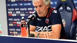 Conferenza Bologna – Donadoni: “Orsolini può giocare”. E su Destro…