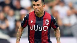 Verso Bologna-Milan: Medel squalificato, Theo Hernández entra in diffida