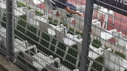 FOTO Il DS Giuntoli e Ounas si intrattengono in un colloquio a bordo campo