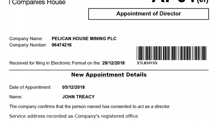 Cessione Palermo, si muove la Pelican House Mining PLC: John Michael Treacy è il nuovo &#8220;Company director&#8221; 