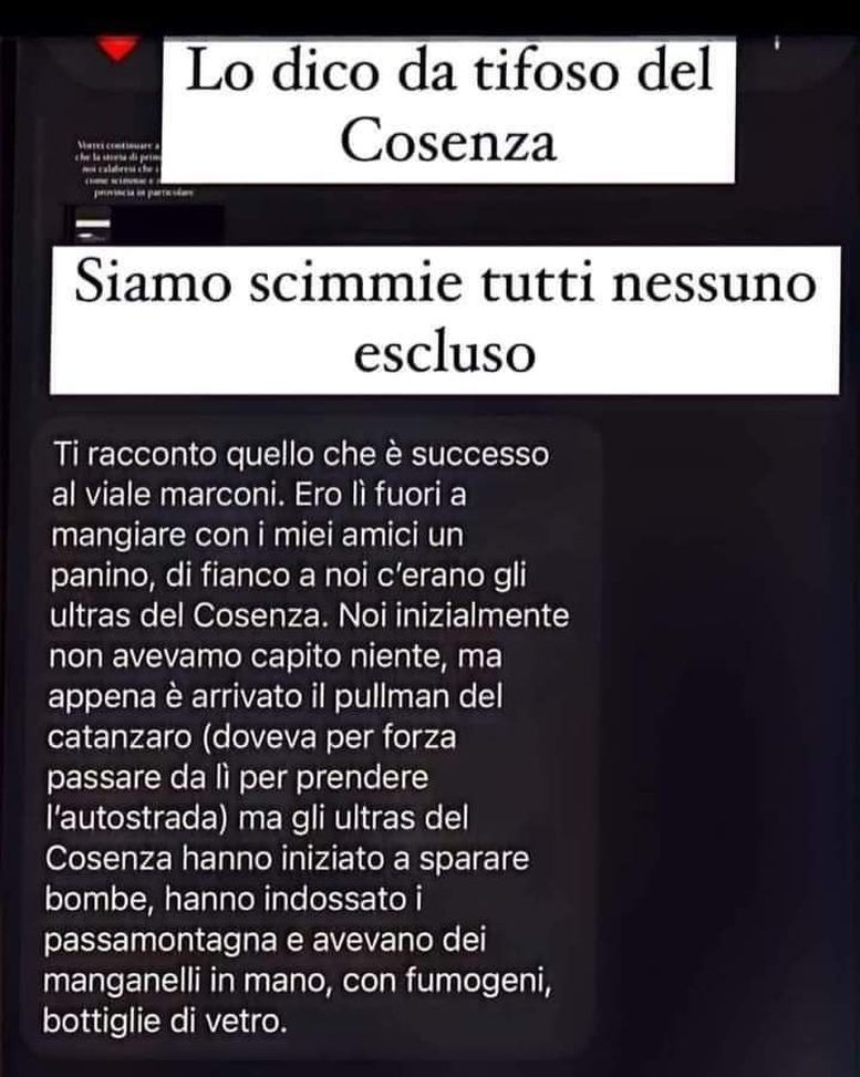 I manganelli e i passamontagna del derby: Cosenza fa autocritica…- immagine 2