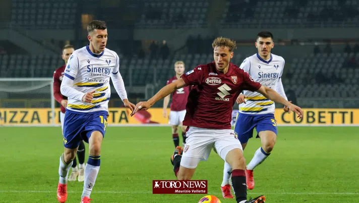 Torino Verona Vojvoda
