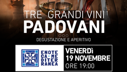 Padova Gourmet, bis dell’evento sui tre grandi vini padovani: ecco come partecipare