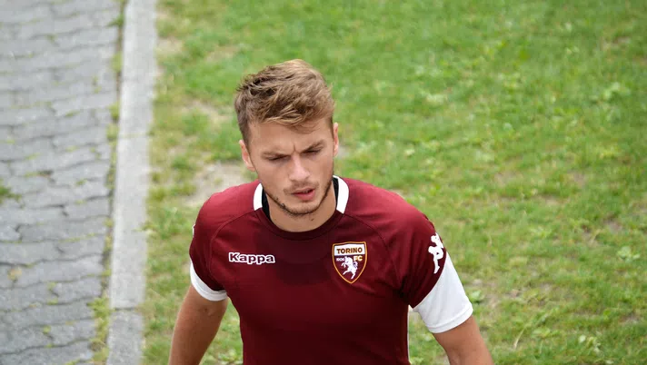 Adem Ljajic