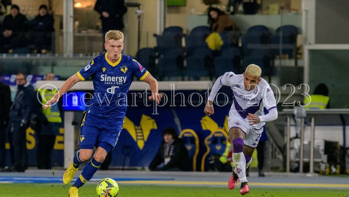 Verona, i convocati per il Torino. Out Doig Verona, i convocati per il Torino. Out Doig - immagine 1