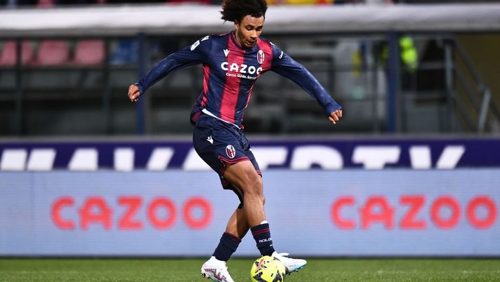 Emergenza in attacco per il Bologna, si ferma anche Zirkzee: il motivo del suo stop - immagine 1