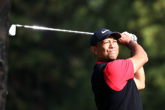 Tiger Woods, getty Tiger Woods, getty