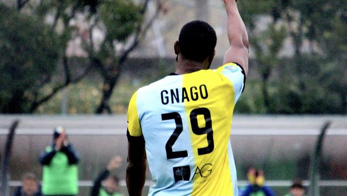 Luparense scatenata sul mercato: ecco i quattro giocatori in arrivo - immagine 1