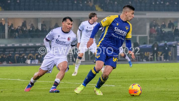 Simeone-Napoli in chiusura. Le cifre - immagine 1