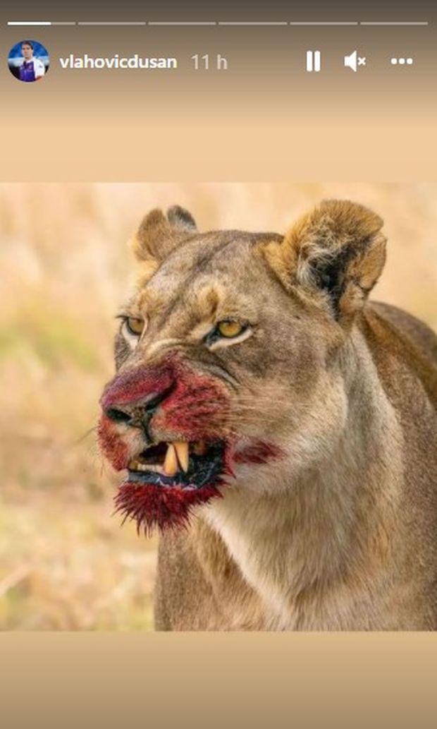 Vlahovic fa l’Ibra: la FOTO con un messaggio chiaro a tutti gli avversari- immagine 2