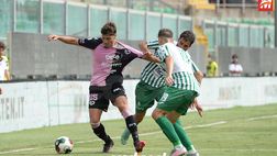Palermo, quarto clean sheet stagionale: da Perrotta a Buttaro, Filippi alza il bunker