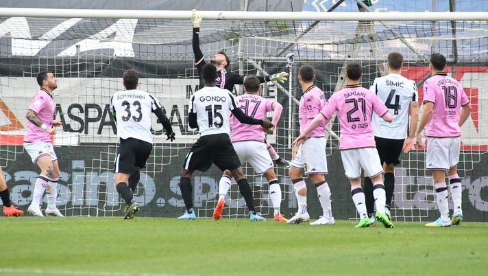 Palermo, verso Parma: Verre e Pigliacelli a rischio. Opzioni a centrocampo e Massolo - immagine 1