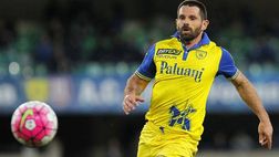Qui Chievo, Pellissier verso la panchina. Torna Meggiorini