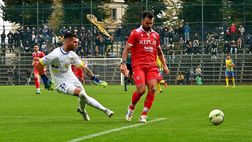 Padova-Pergolettese, convocati e probabile formazione. Jelenic ancora titolare?