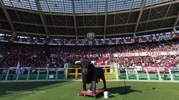 Cerchiamo cose da Toro