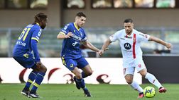 Verona-Monza 1-1, la diretta