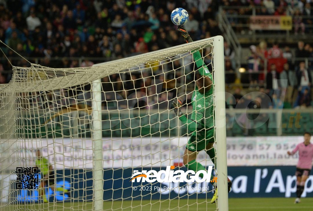 FOTO Palermo-Brescia 2-2, 38ª giornata di Serie B 2022-2023 (GALLERY) - immagine 23