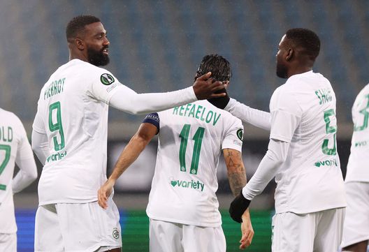 Stewart raddoppiati, metal detector e cordoni. Il Franchi si trasforma giovedì- immagine 2