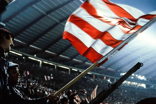 Getty Images Stella Rossa, il tecnico Stankovic si è dimesso. “Ecco perchè lascio il club”- immagine 2