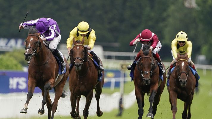 Quattro cavalli Quattro cavalli