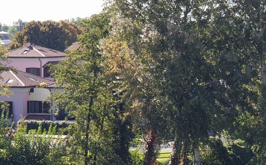 Uno scorsio del comune di Basiglio Centro storico
Uno scorsio del comune di Basiglio Centro storico