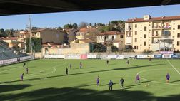 Giovanili, comunicati i campi da gioco delle Under viola: gli impianti
