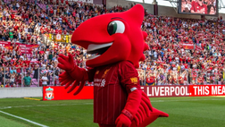 Il Liverpool sul mercato…alla ricerca di un nuovo attore per la mascotte del club