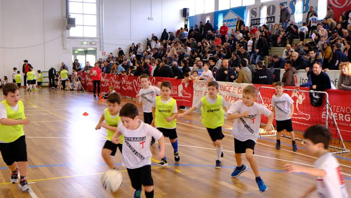 Scuola Calcio Petrarca Scuola Calcio Petrarca