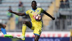 Inter, quasi fatta per il centrocampista Coulibaly. Al Pescara Palazzi e Carraro