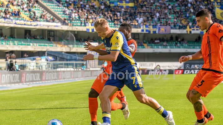 Verona con la Fiorentina, Barak cerca il recupero  Verona con la Fiorentina, Barak cerca il recupero - immagine 1