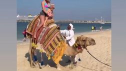 VIDEO / Supercoppa a Riad, lady Acerbi passeggia in spiaggia a bordo di un cammello