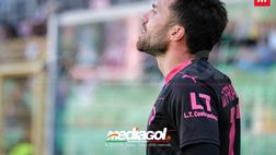 Palermo, GdS: “Playoff da blindare, a partire dalla sfida con la Sampdoria”